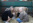 The International Efterskole Vedersø Fieldtrip Farm