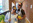 The International Efterskole Vedersø Responsibility Cleaning